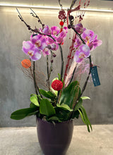 Load image into Gallery viewer, Pink Orchid Centerpiece (6 Stems)
