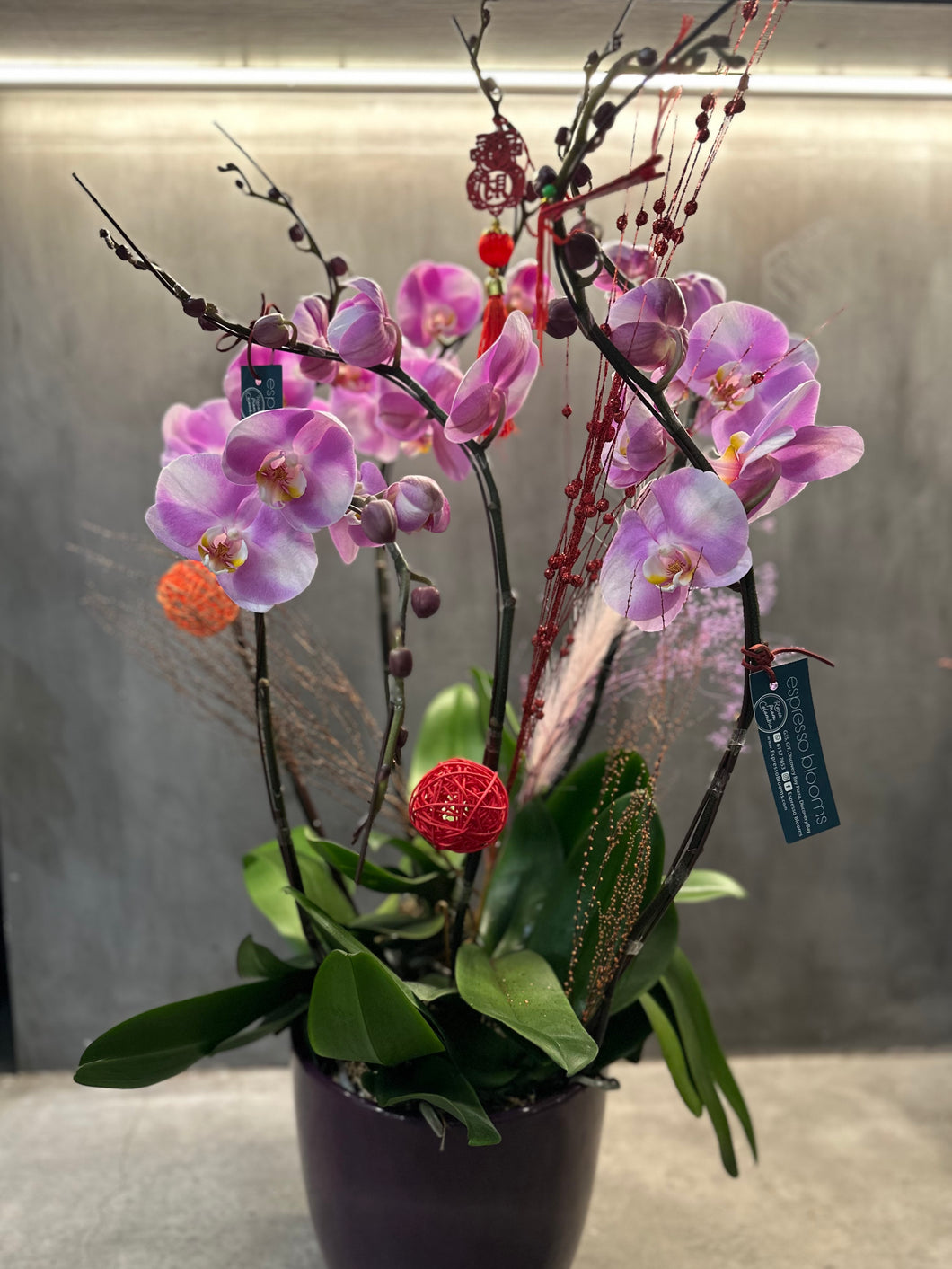 Pink Orchid Centerpiece (6 Stems)