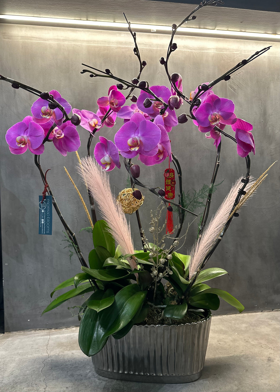 Pink Orchid Centerpiece (6 Stem)