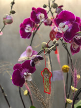 Load image into Gallery viewer, Pink Orchid Centerpiece (8 Stem)
